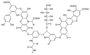 an examplified structure of humic acid